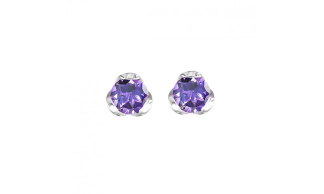 Gems One Silver Amethyst (1/2 Ctw) Earring - ER10670-SSNM