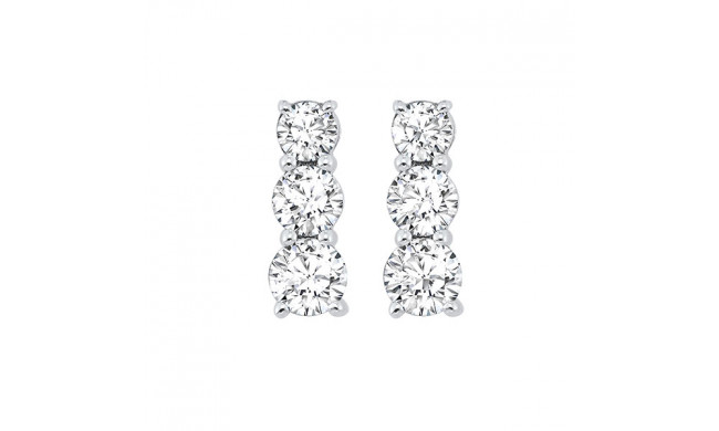 Gems One 14Kt White Gold Diamond (1/2Ctw) Earring - ER10220-4WF