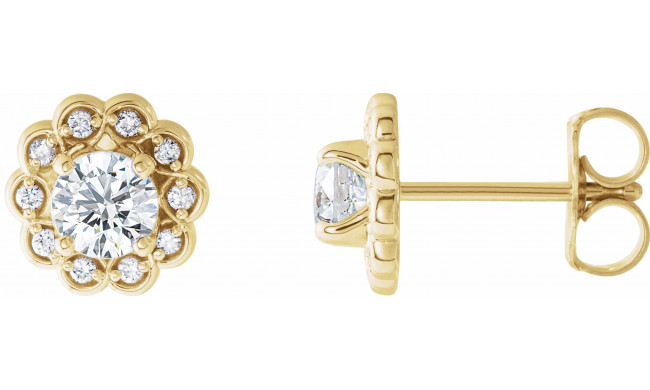 14K Yellow 5/8 CTW Diamond Halo-Style Earrings - 86663606P
