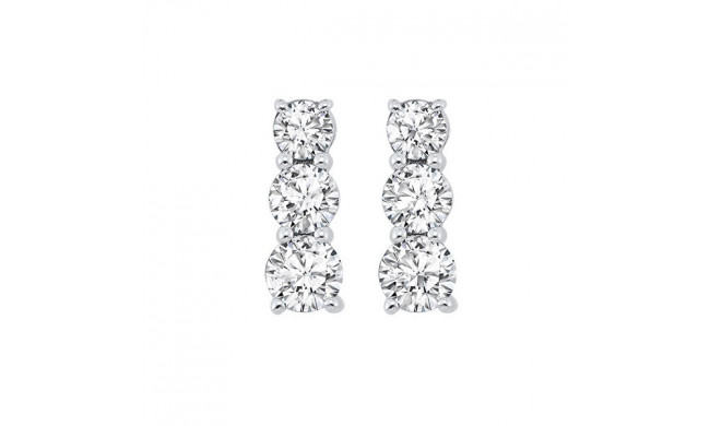 Gems One 14Kt White Gold Diamond (1Ctw) Earring - ER10221-4WF
