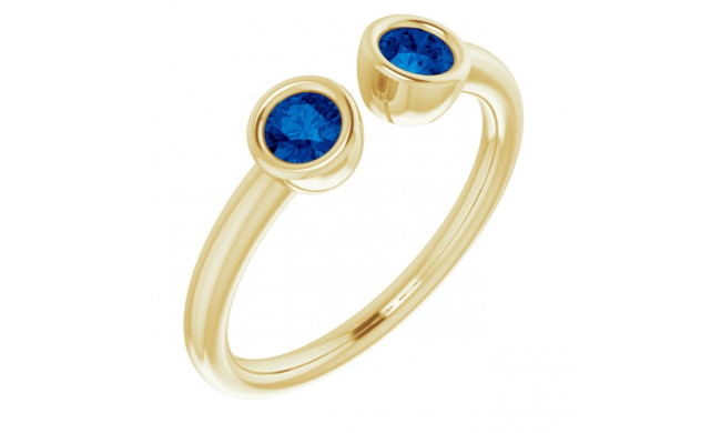 14K Yellow Blue Sapphire Two-Stone Ring - 7189360005P