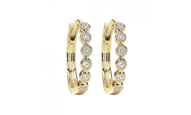Gems One 10Kt Yellow Gold Diamond (1/8Ctw) Earring - FE2044-1YD