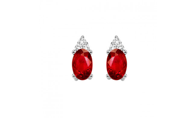 Gems One 10Kt White Gold Diamond (1/20Ctw) & Garnet (5/8 Ctw) Earring - FE4019-1WDG