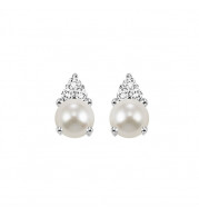 Gems One 10Kt White Gold Diamond (1/20Ctw) & Pearl (7/8 Ctw) Earring - FE4024-1WDP