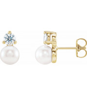 14K Yellow Freshwater Cultured Pearl & 1/8 CTW Diamond Earrings - 86719611P