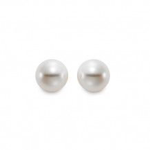 Mastaloni Ladies 14k Yellow Gold Cultured Pearl Stud Earrings