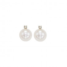 Gems One 14Kt White Gold Diamond (1/20Ctw) & Pearl (1 Ctw) Earring - PSD6.00AAA-4W