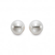 Mastaloni Ladies 14k Yellow Gold Cultured Pearl Stud Earrings