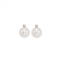 Gems One 14Kt White Gold Diamond (1/20Ctw) & Pearl (1 Ctw) Earring - PSD5.5AAA-4W