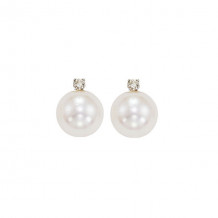 Gems One 14Kt White Gold Diamond (1/20Ctw) & Pearl (1 Ctw) Earring - PSD7.00AAA-4W