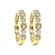 Gems One 10Kt Yellow Gold Diamond (1/8Ctw) Earring - FE2045-1YD