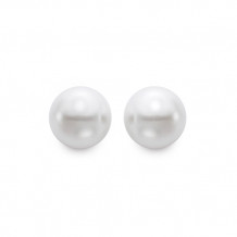 Mastaloni 14k White Gold Freshwater Pearl Stud Earrings