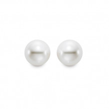 Mastaloni Ladies 14k Yellow Gold Cultured Pearl Stud Earrings