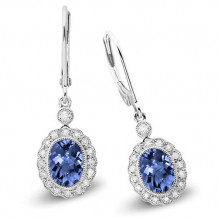 Stanton Color 14k Gold Tanzanite Leverback Earrings