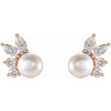 14K Rose Akoya Cultured Pearl & 1/2 CTW Diamond Earrings - 87079607P photo 2