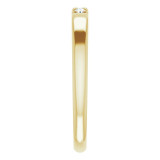14K Yellow .09 CTW Diamond French-Set Anniversary Band - 124030605P photo 4