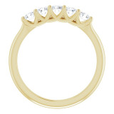 14K Yellow 1/2 CTW Diamond Anniversary Band - 1238736001P photo 2