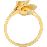 14K Yellow Freeform Ring - 51856350P photo 2