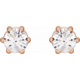 14K Rose 3 mm I2 1/5 CTW Diamond 6-Prong Wire Basket Earrings - 292366034P photo 2