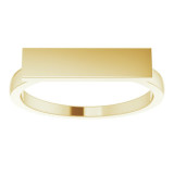 14K Yellow 16x4 mm Rectangle Signet Ring - 51550102P photo 3