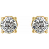 14K Yellow 1/3 CTW Diamond Earrings - 187470207P photo 2