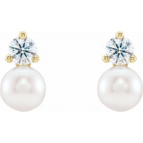 14K Yellow Freshwater Cultured Pearl & 1/2 CTW Diamond Earrings - 86719601P photo 2