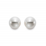 Mastaloni Ladies 14k Yellow Gold Cultured Pearl Stud Earrings photo