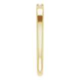 14K Yellow .06 CTW Diamond French-Set Anniversary Band - 124030604P photo 4