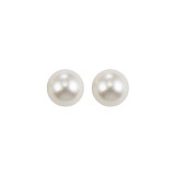 Gems One Silver Colorstone Earring - FWPS7.0-SS photo