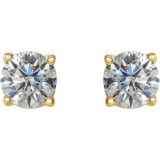 14K Yellow 1/2 CTW Diamond Earrings - 187470216P photo 2