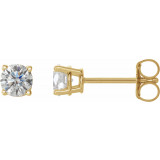 14K Yellow 1/2 CTW Diamond Earrings - 187470216P photo