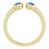 14K Yellow Blue Sapphire Two-Stone Ring - 7189360005P photo 2