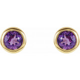 14K Yellow 4 mm Round Genuine Amethyst Birthstone Earrings - 6108660004P photo 2