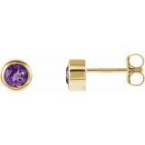 14K Yellow 4 mm Round Genuine Amethyst Birthstone Earrings - 6108660004P photo