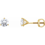 14K Yellow 3/4 CTW Diamond Earrings - 6623460049P photo