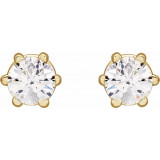 14K Yellow 3 mm SI2-SI3 1/5 CTW Diamond 6-Prong Wire Basket Earrings - 292366097P photo 2