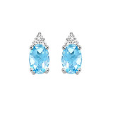 Gems One 10Kt White Gold Diamond (1/20Ctw) & Blue Topaz (5/8 Ctw) Earring - FE4030-1WDB photo