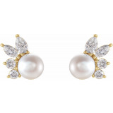 14K Yellow Akoya Cultured Pearl & 1/2 CTW Diamond Earrings - 87079606P photo 2