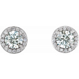 14K White 3/8 CTW Diamond Halo-Style Earrings - 86458619P photo 2