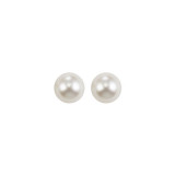 Gems One Silver Colorstone Earring - FWPS4.5-SS photo
