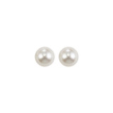 Gems One Silver Colorstone Earring - FWPS4.5-SS photo