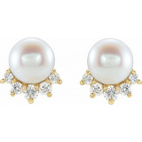 14K Yellow Freshwater Cultured Pearl & .08 CTW Diamond Earrings - 86767606P photo 2