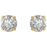 14K Yellow 3/4 CTW Diamond Earrings - 187460062P photo 2