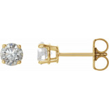 14K Yellow 3/4 CTW Diamond Earrings - 187460062P photo