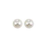 Gems One Silver Colorstone Earring - FWPS6.0-SS photo